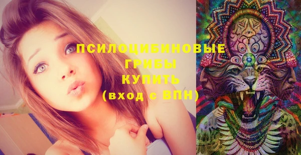 герыч Арсеньев