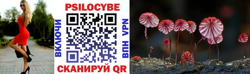 Псилоцибиновые грибы Psilocybine cubensis  Купить закладки  Электросталь 